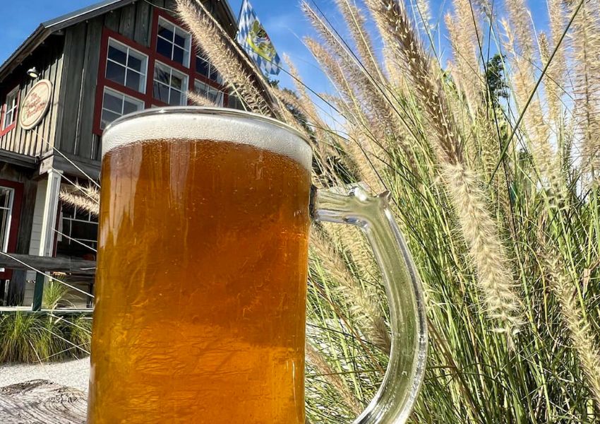 breweries in north pinellas