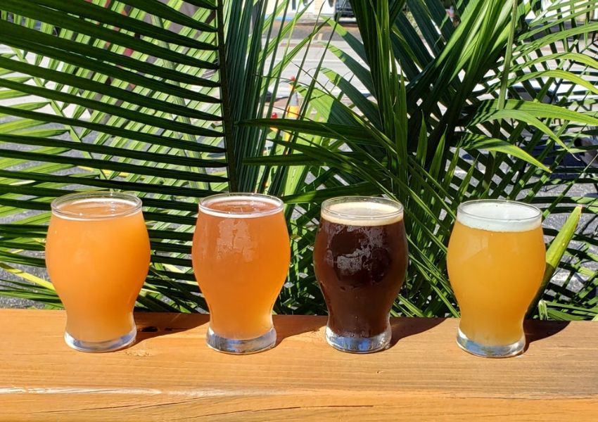 breweries in north pinellas