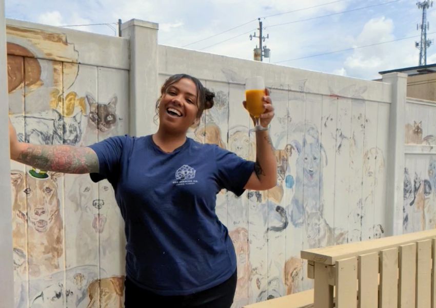 breweries in north pinellas