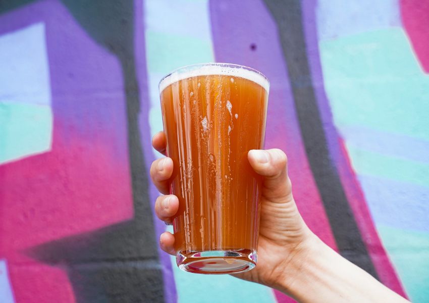 breweries in north pinellas