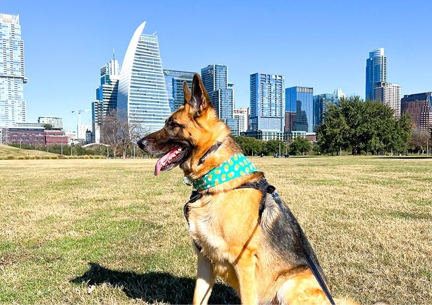 outside in austin