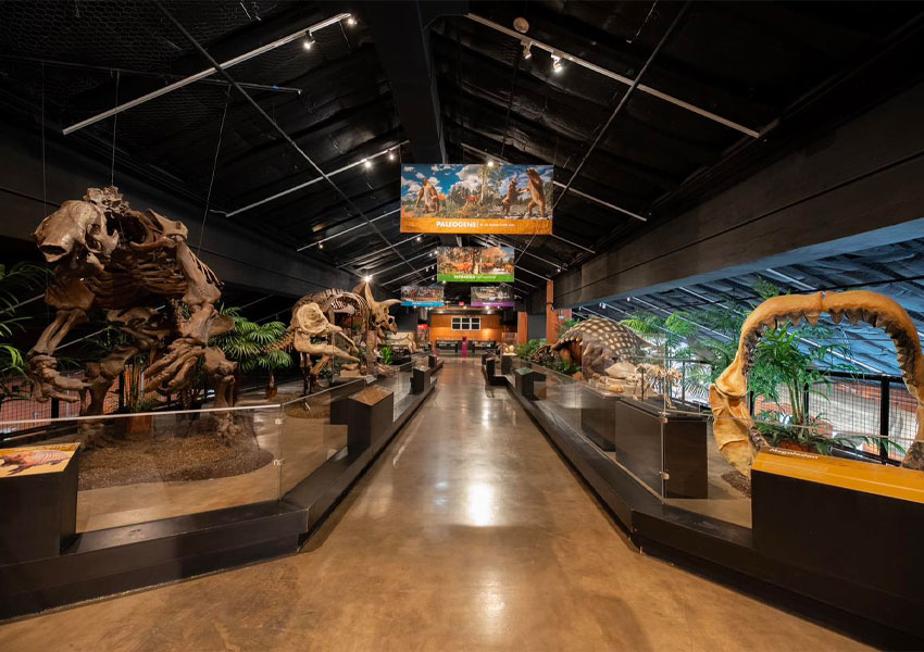 attractions in Sugar Land
