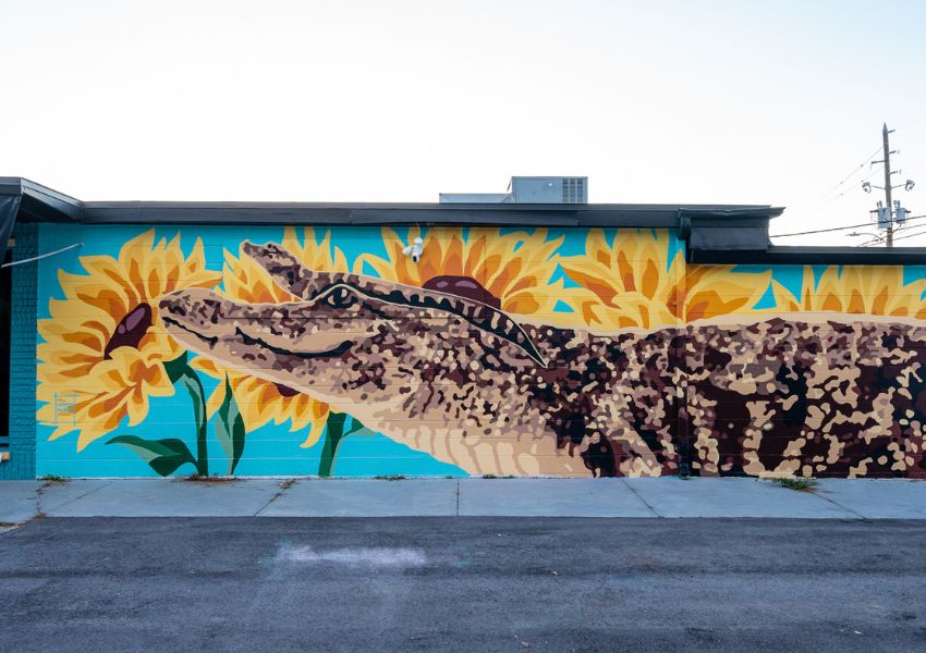 12+ Best Instagram Spots and Murals in Tampa Bay