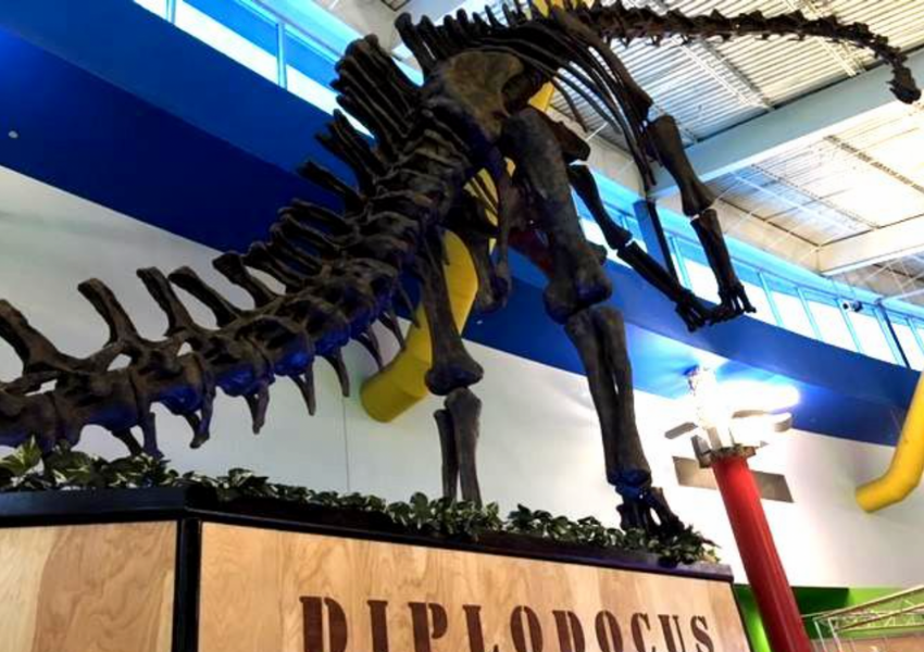 Museums in Tampa Bay - MOSI 2