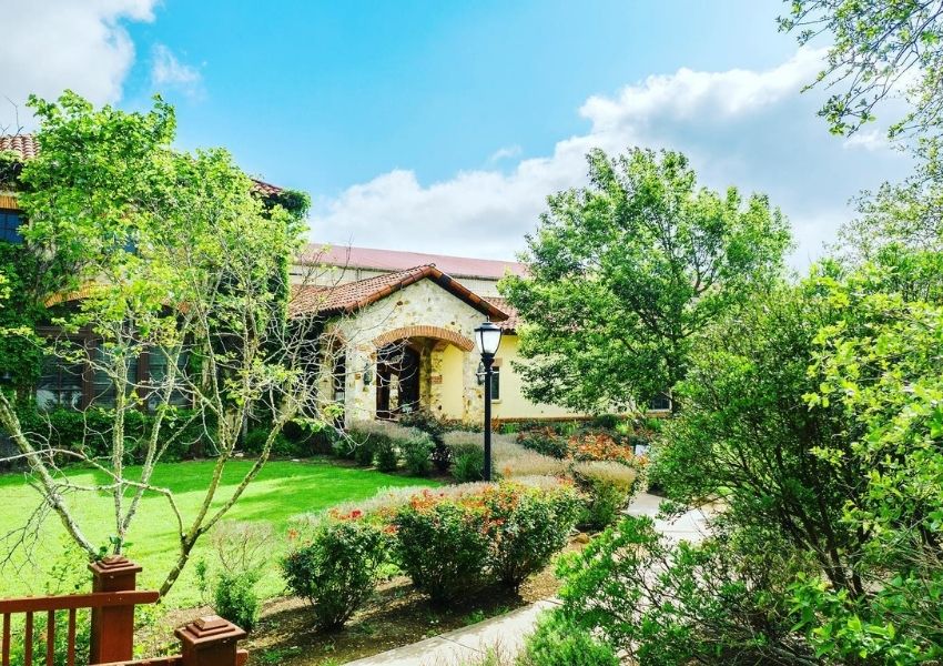 Austin wineries