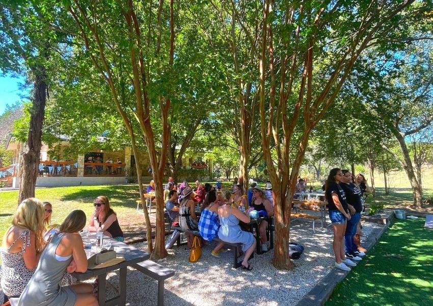 Austin wineries