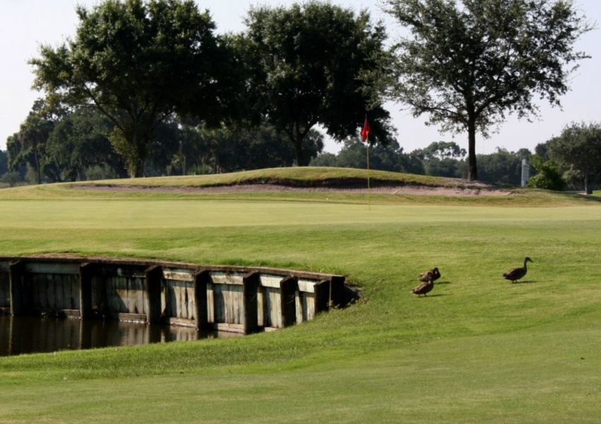 tampa golf tampa golf courses golf in tampa golf courses in tampa