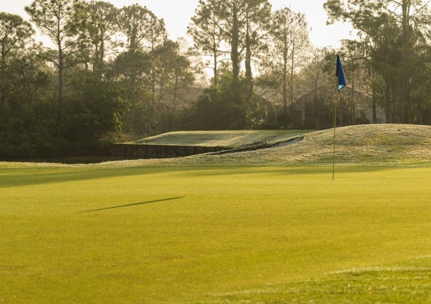 tampa golf tampa golf courses golf in tampa golf courses in tampa