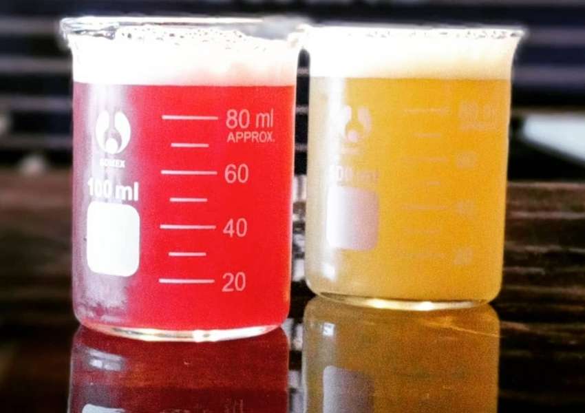 breweries in Clearwater