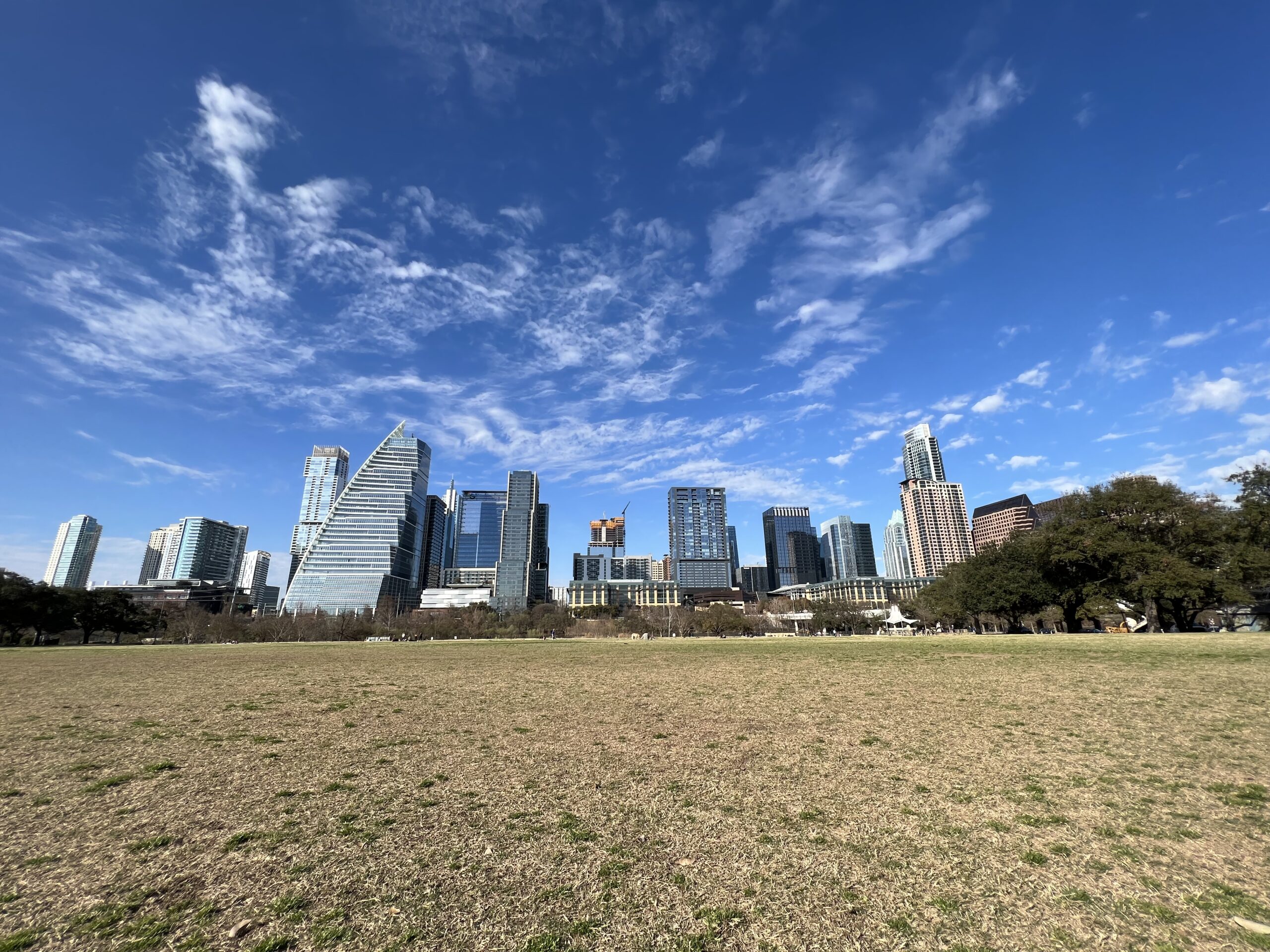 The Best Dog Parks in Austin To Bark About