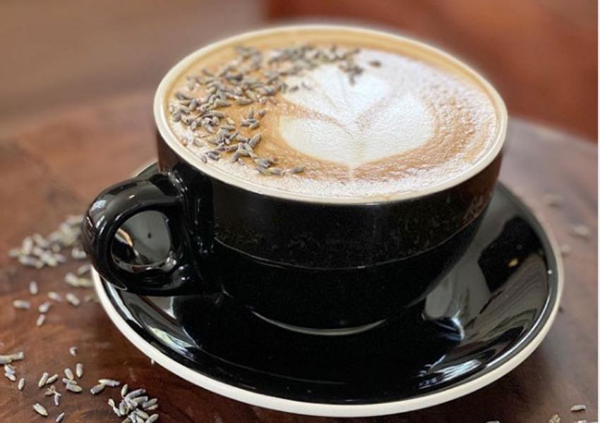 Dunedin coffee shops