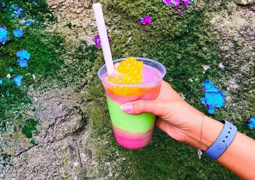 Best Things to do at Animal Kingdom Curated by Locals