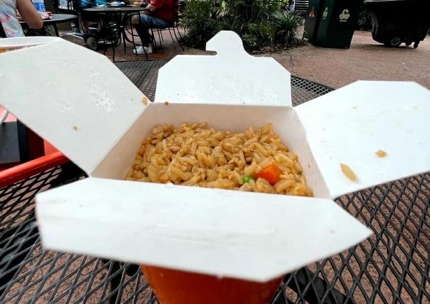 Best Things to do at Animal Kingdom Curated by Locals