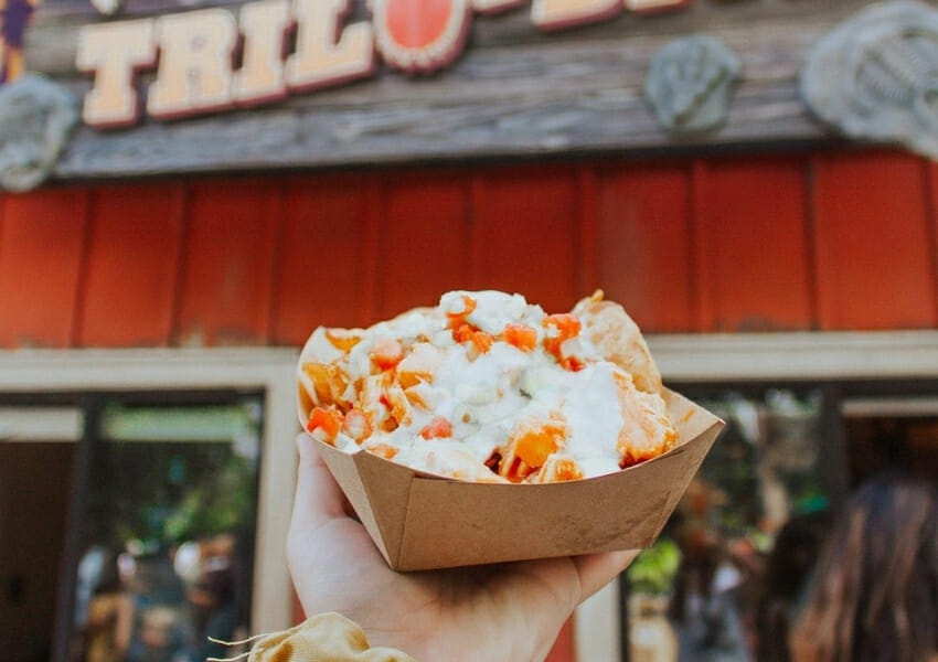 Best Things to do at Animal Kingdom Curated by Locals