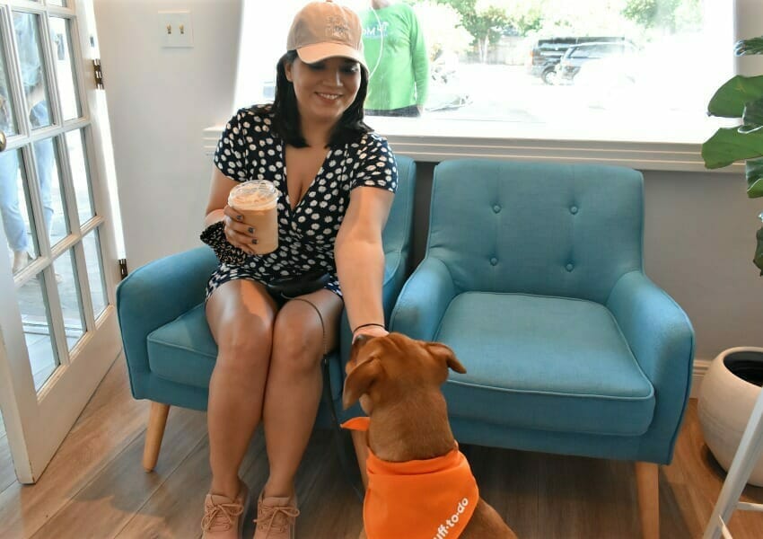 Pamper Your Pup at the Best Dog Treat Shops and Bakeries in Orlando