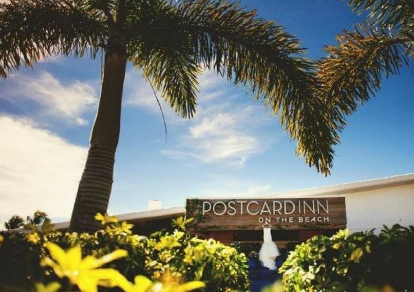 dog friendly spots in tampa bay | best dog friendly places in tampa | dog friendly restaurants in tampa bay | dog friendly tampa hotels
