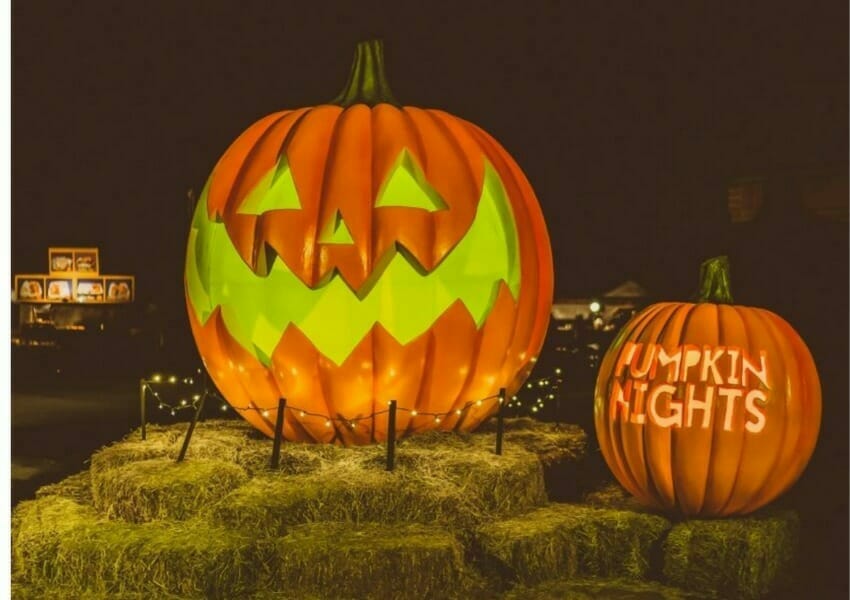 Carve Out Some Time for these Spooktacular Events