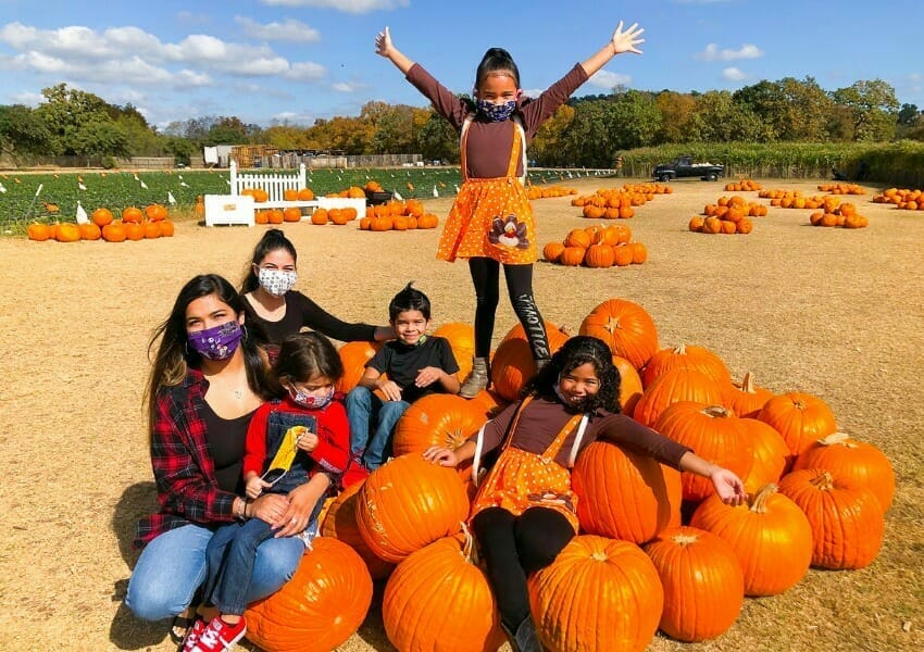 Fall Activities to Celebrate All Things Autumnal in Austin
