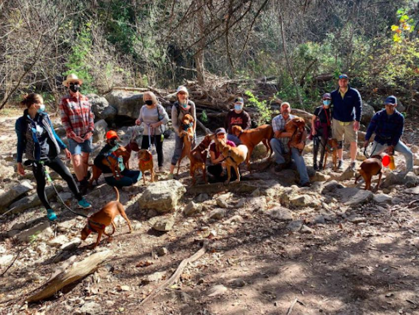 5 Running Trails in Austin That Will Help You Change Up the Scenery