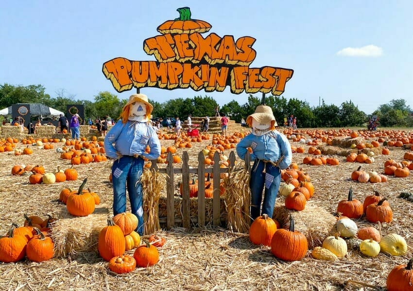 Fall Activities to Celebrate All Things Autumnal in Austin