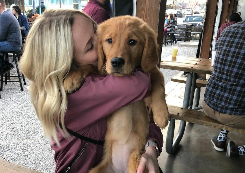 10 Summertime Dog Friendly Restaurants in Eastside ATX