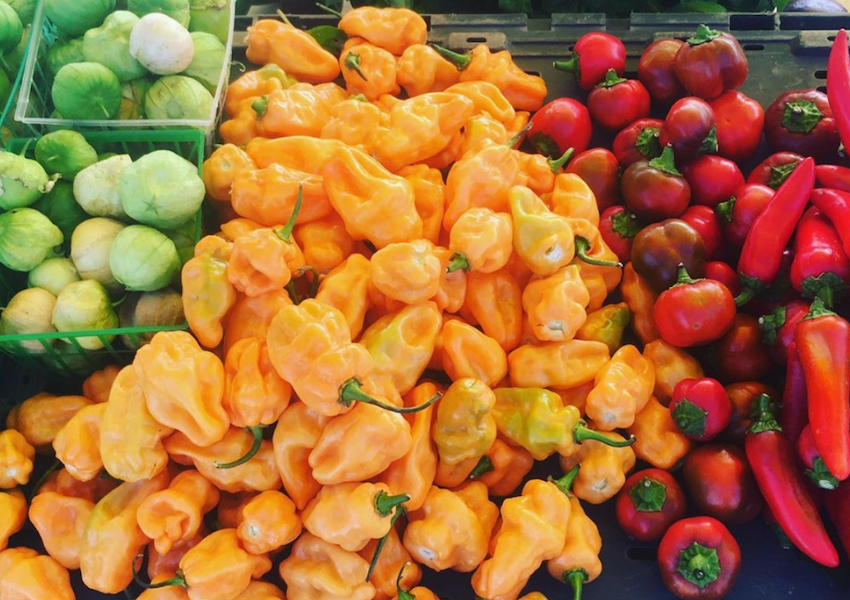 Best Farmers' Markets in Austin to Obsess Over