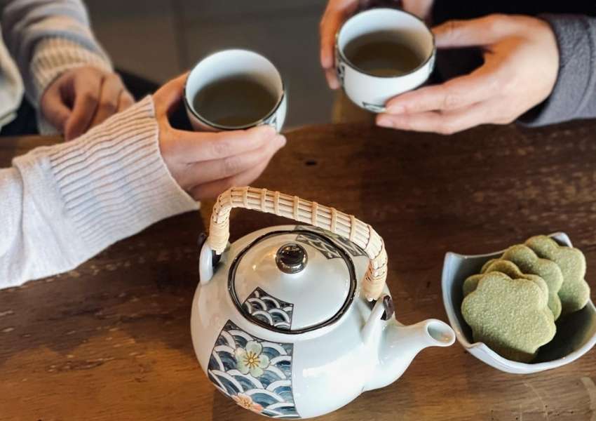 tea shop tampa tea store tampa coffee shop tampa