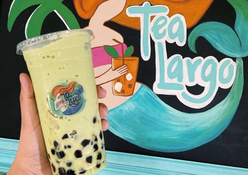 tea shop tampa tea store tampa coffee shop tampa