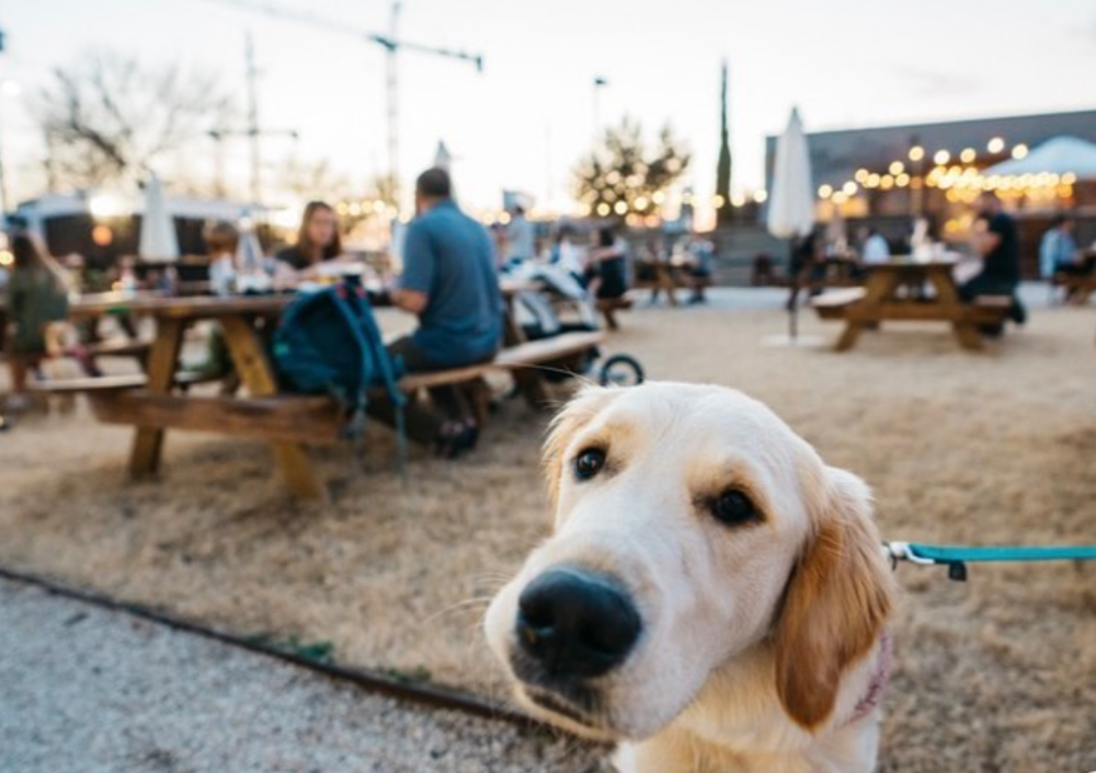 New Restaurants in Austin We Are Obsessed With