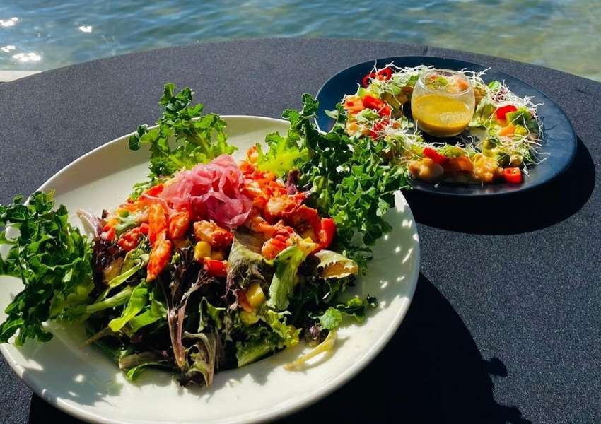 easter in tampa bay gluten free restaurants tampa | gluten free tampa | gluten free restaurant near me