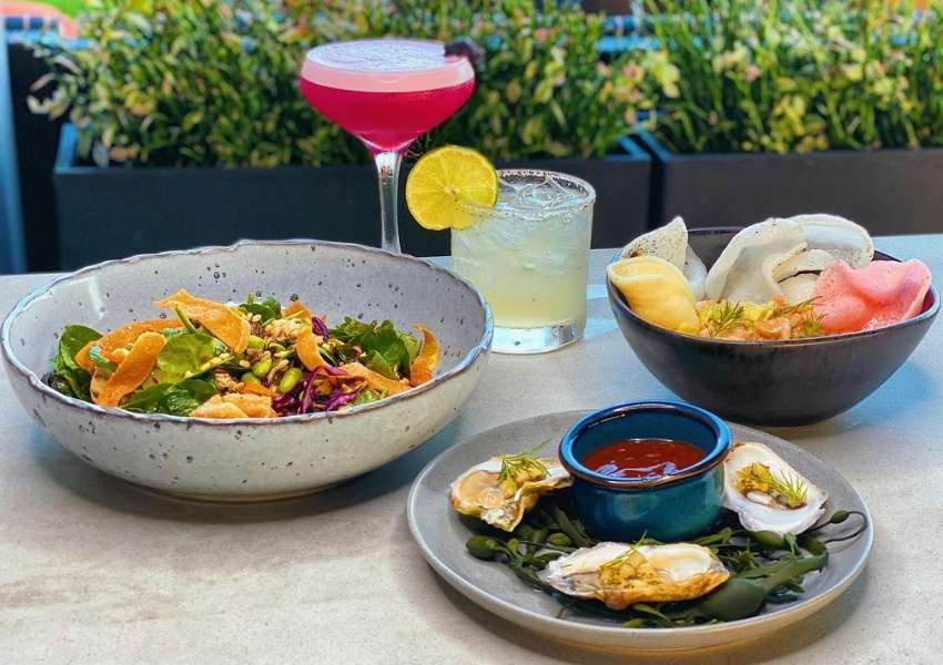 best restaurants in tampa best restaurants tampa best tampa restaurants