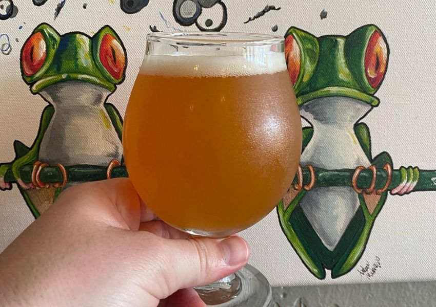 5 Best Breweries in Tarpon