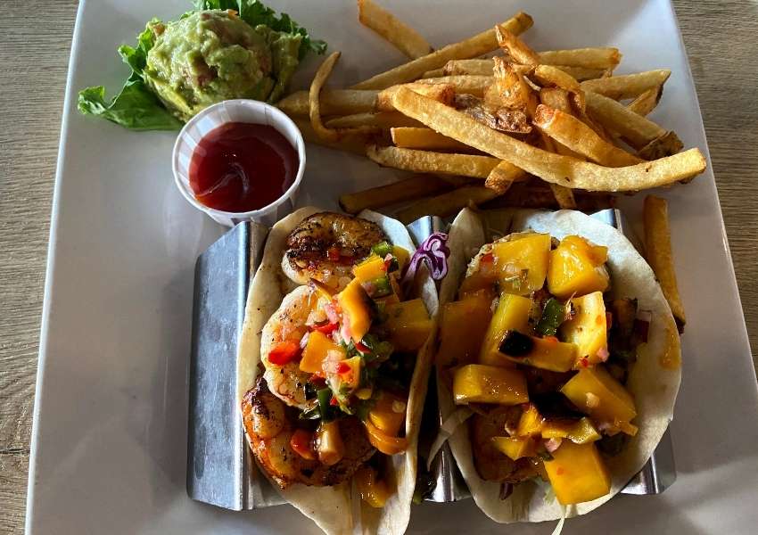 10 Best Restaurants in Dunedin You Need to Visit