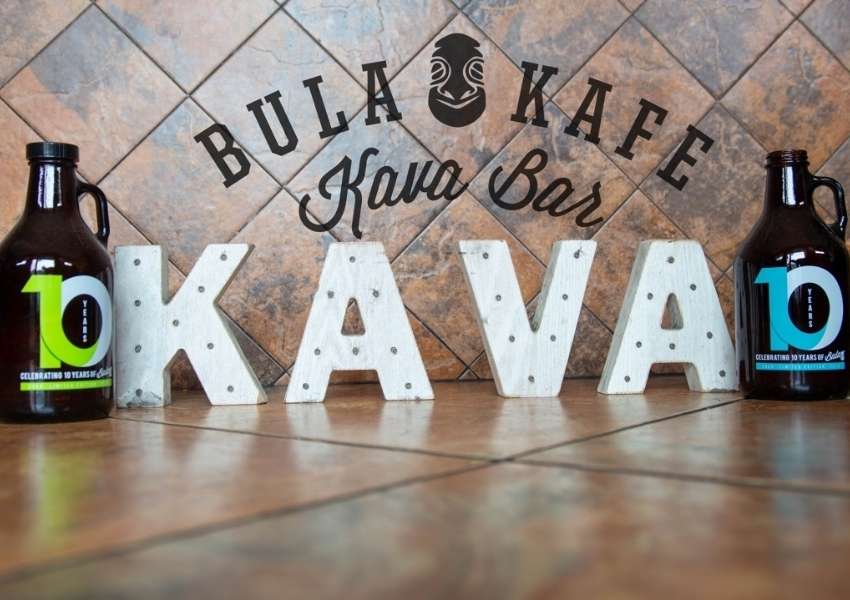 Our 6 Favorite Kava Bars in St. Pete You Must Try