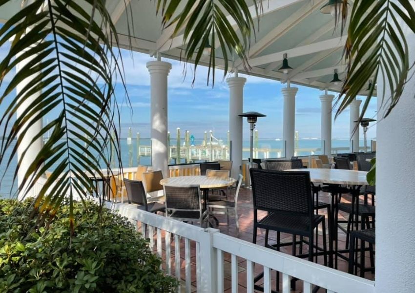 10 Best Restaurants in Dunedin You Need to Visit