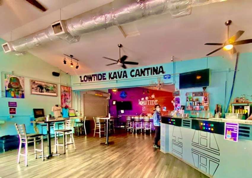 Our 6 Favorite Kava Bars in St. Pete You Must Try