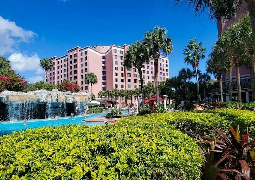 Pet-Friendly Hotels in Orlando For You and Your Furriest Friend