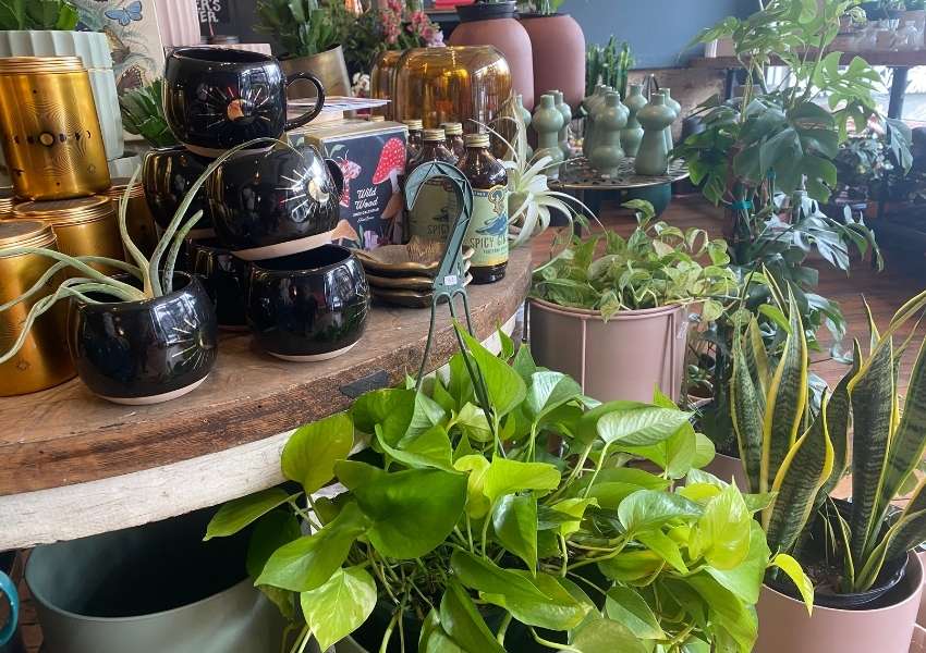 hidden gems in pittsburgh