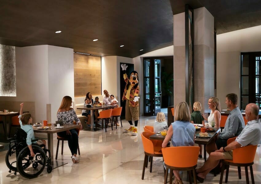 Pet-Friendly Hotels in Orlando For You and Your Furriest Friend