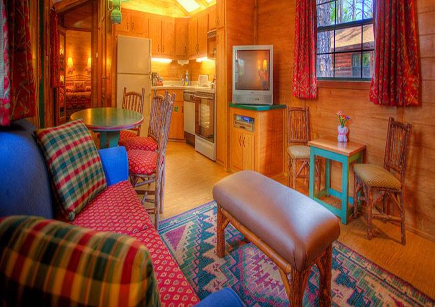 Pet-Friendly Hotels in Orlando For You and Your Furriest Friend