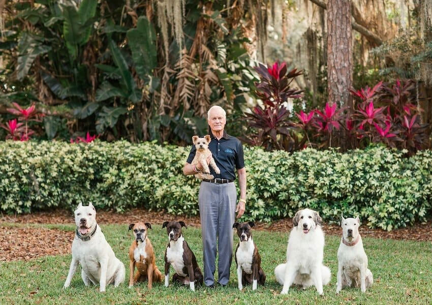 Pet-Friendly Hotels in Orlando For You and Your Furriest Friend