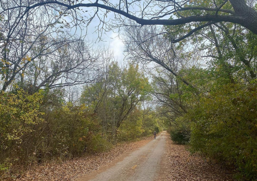 Bike Trails in Austin All Bikers Should Know About