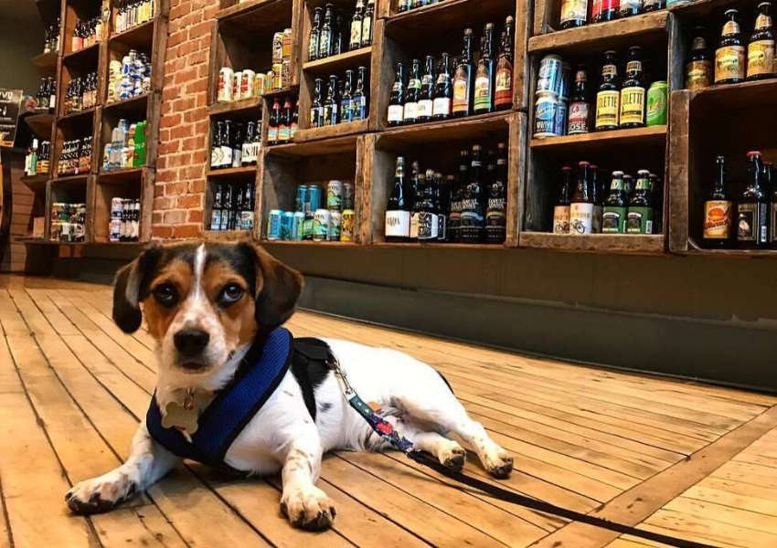 Bars in Lawrenceville
