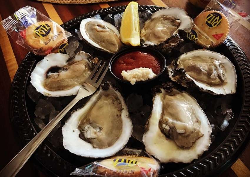 8 Restaurants in Dunedin with the Best Seafood You Must Try