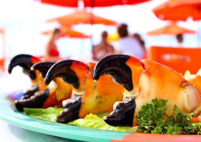 8 Restaurants in Dunedin with the Best Seafood You Must Try