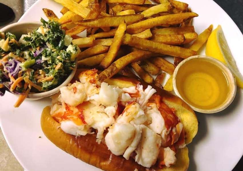 8 Restaurants in Dunedin with the Best Seafood You Must Try