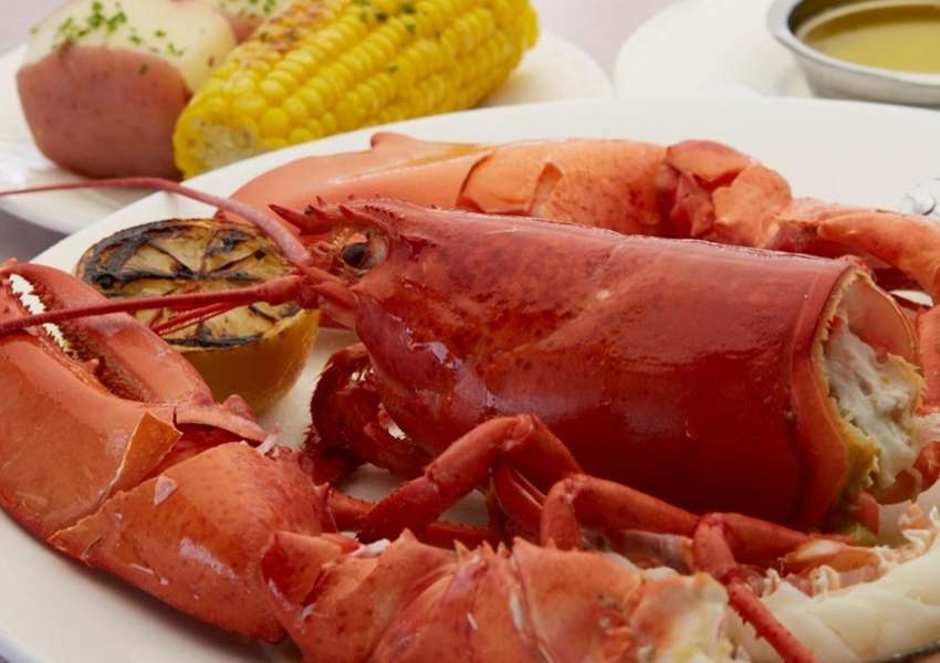 8 Restaurants in Dunedin with the Best Seafood You Must Try