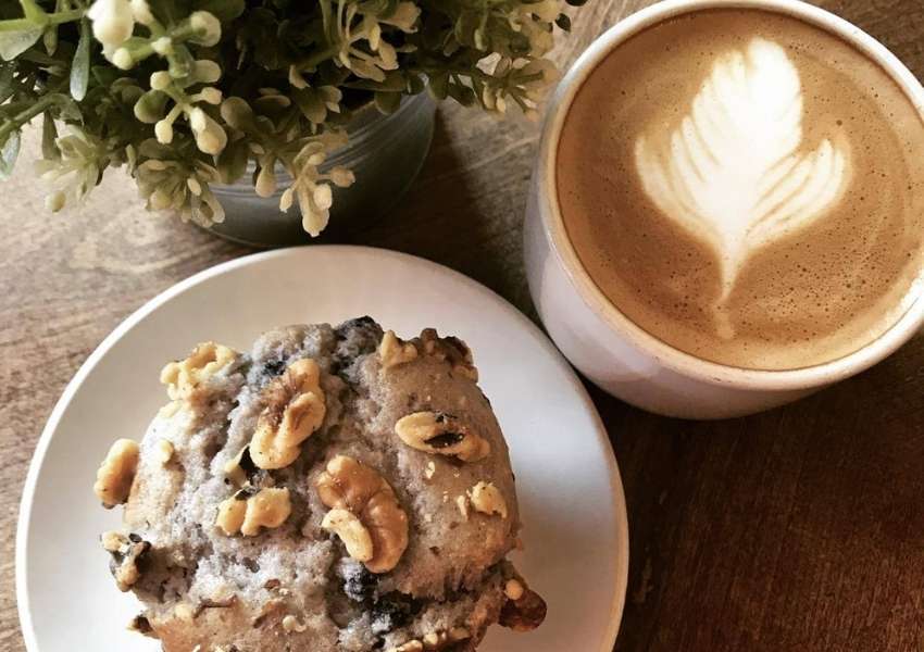 5 Best Coffee Shops in Tampa Heights to Start Your Morning Right