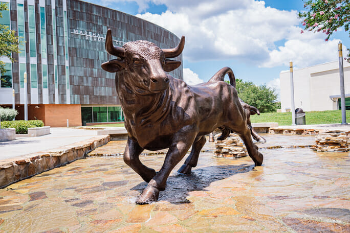A Student's Guide to the University of South Florida|||||||