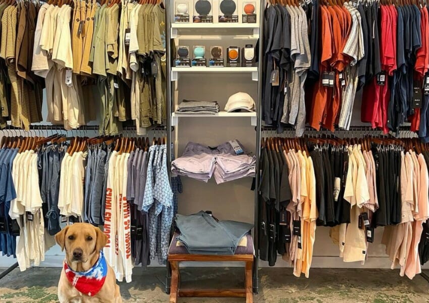 December Local Love List: 10 Local Businesses in Tampa Bay to Visit This Month